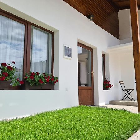 The Cozy Bunker Apartman Nagyszeben Kültér fotó