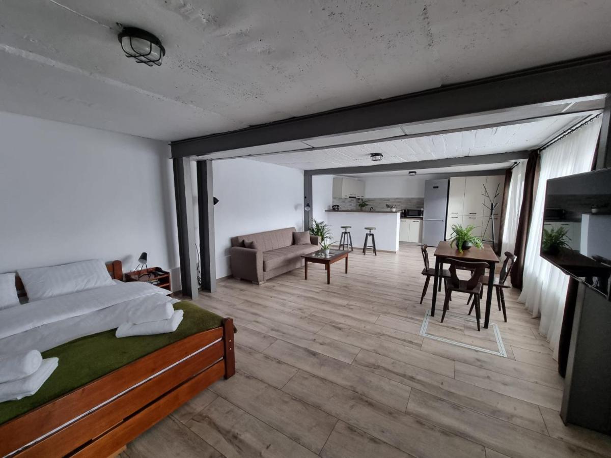 The Cozy Bunker Apartman Nagyszeben Kültér fotó