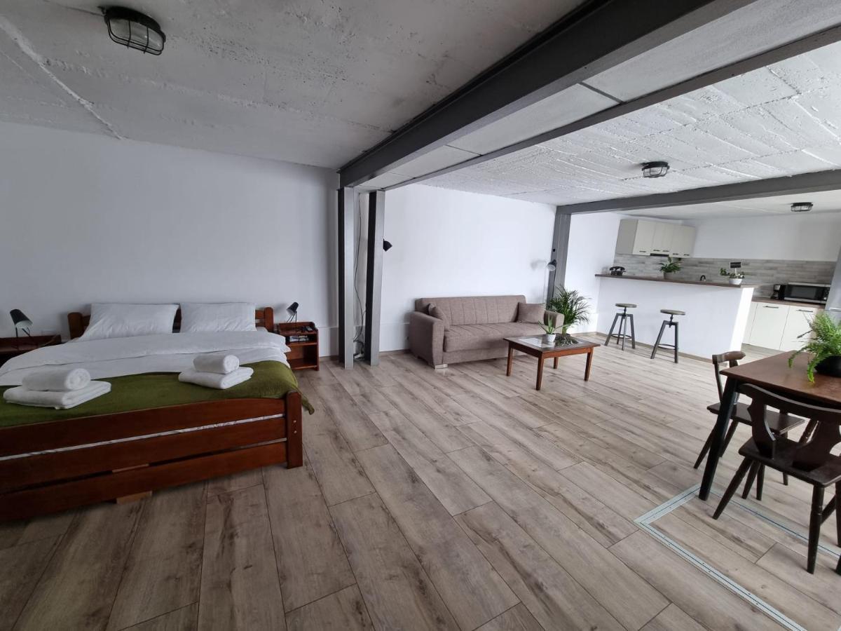 The Cozy Bunker Apartman Nagyszeben Kültér fotó