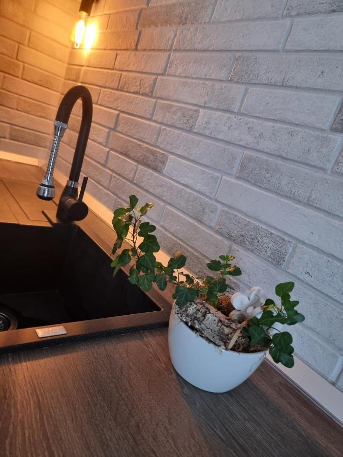The Cozy Bunker Apartman Nagyszeben Kültér fotó