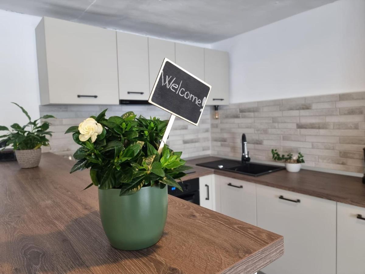 The Cozy Bunker Apartman Nagyszeben Kültér fotó