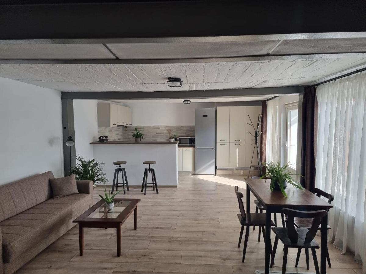 The Cozy Bunker Apartman Nagyszeben Kültér fotó